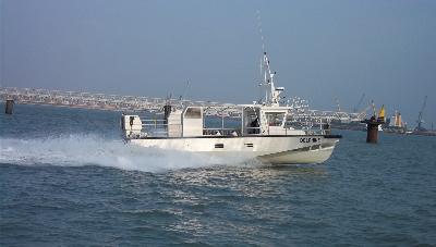 Workboat 12m Miss Bellefine